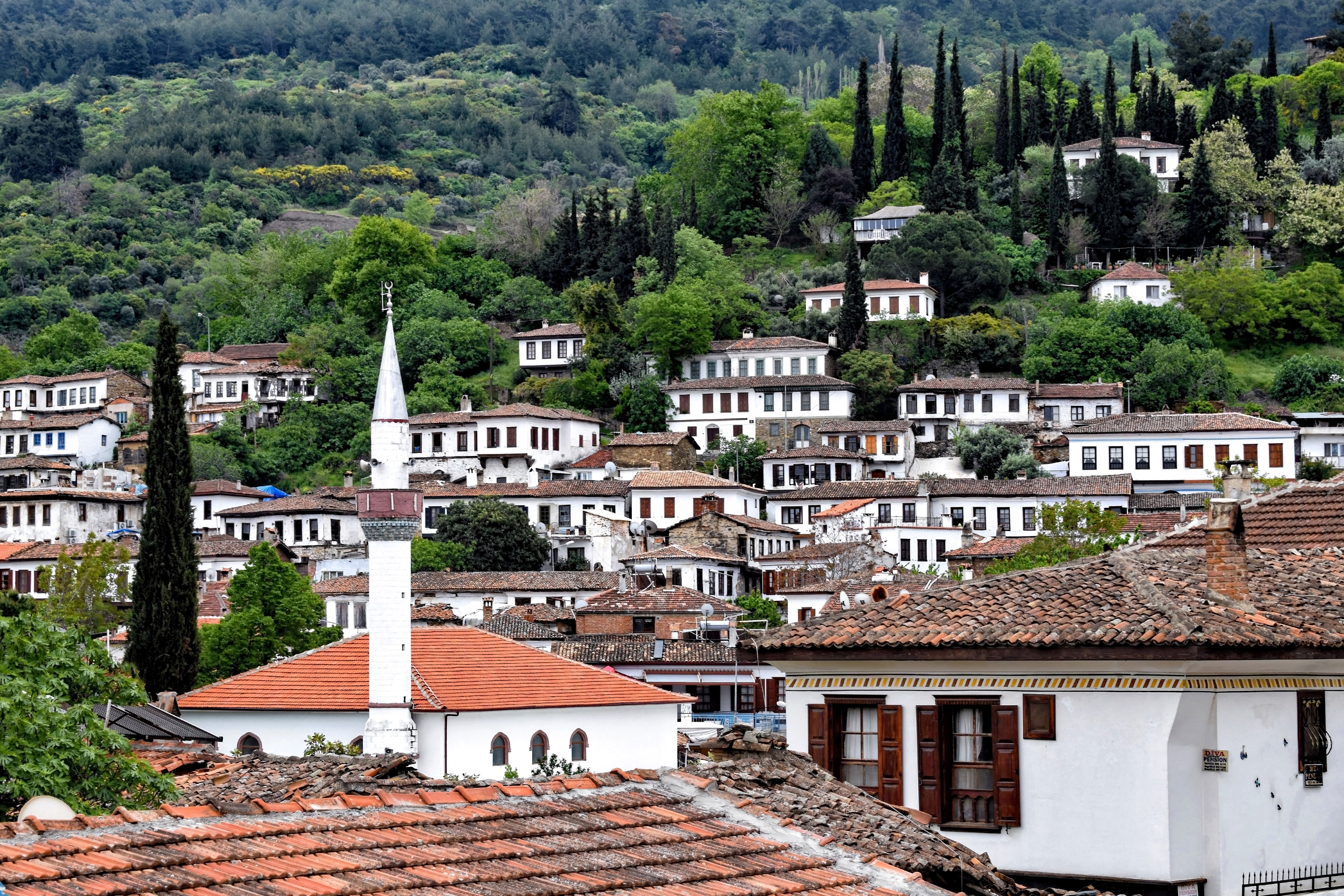 Ephesus Antiquity & Sirince Village
